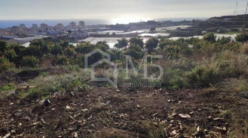 Málaga - Torrox - 1655m2