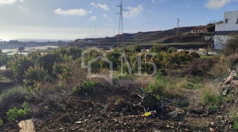 Málaga - Torrox - 1655m2