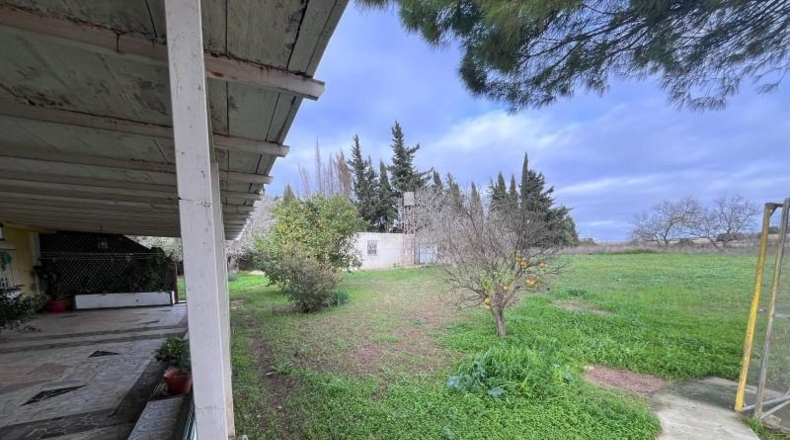 Cádiz - Chiclana de la Frontera - 9000m2