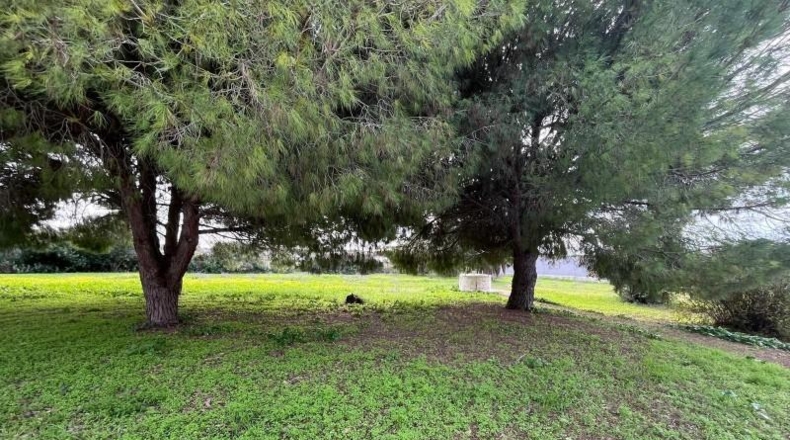 Cádiz - Chiclana de la Frontera - 9000m2