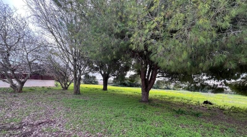 Cádiz - Chiclana de la Frontera - 9000m2