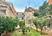 Casa de pueblo en venta en la España, la Ràpita, ref: TR372668 foto
