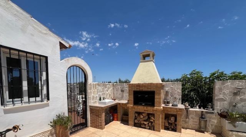 Alicante - Dolores - 2698m2
