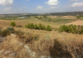 Xalet independent amb terreny en venda a la España, Chinchón, ref.: TR136456 foto