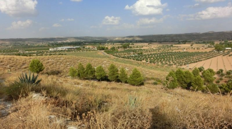 Comunidad de Madrid - Chinchón - 30000m2