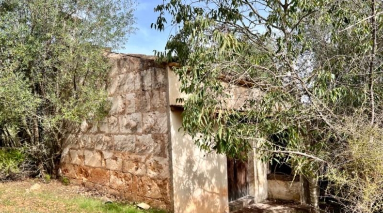 Islas Baleares - Campanet - 17458m2