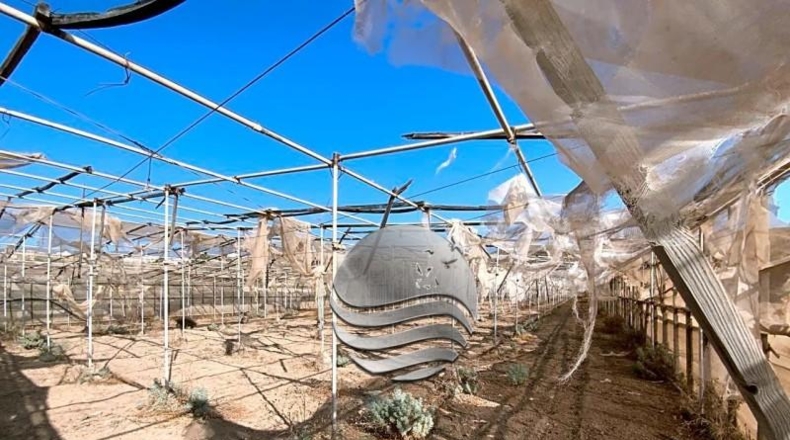 Santa Cruz de Tenerife - Granadilla de Abona - 60000m2