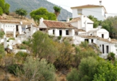 Casa de camp amb terreny en venda a la España, Mijas, ref.: TR304156 foto