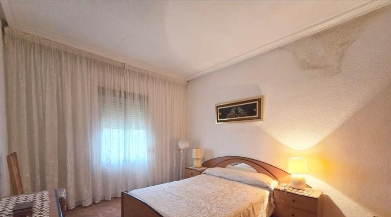 Alicante - Aspe - 37000m2