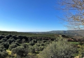 Casa de camp amb terreny en venda a la España, Cantillana, ref.: TR142677 foto