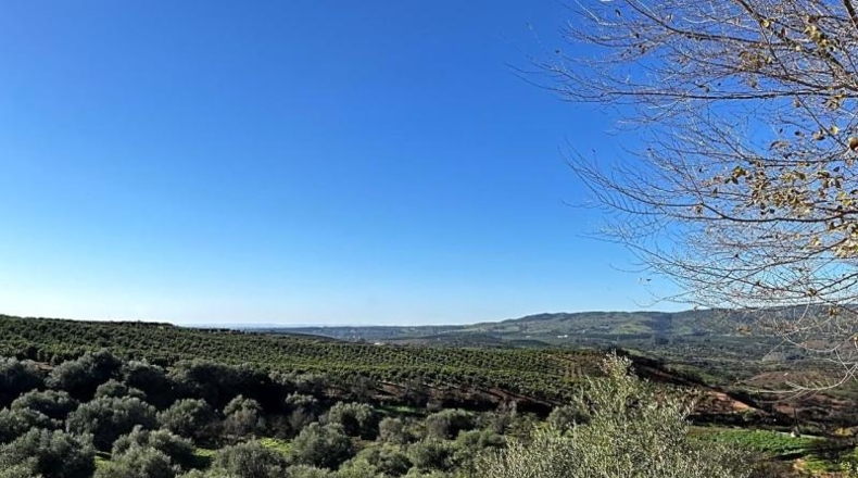 Sevilla - Cantillana - 59563m2