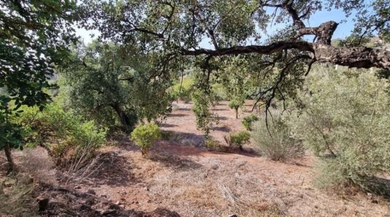 Malaga - Estepona - 120m2