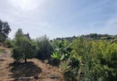 Xalet independent amb terreny en venda a la España, Estepona, ref.: TR333757 foto