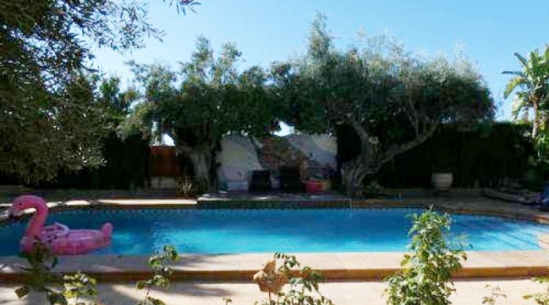 Alicante - San Vicente del Raspeig - 1200m2