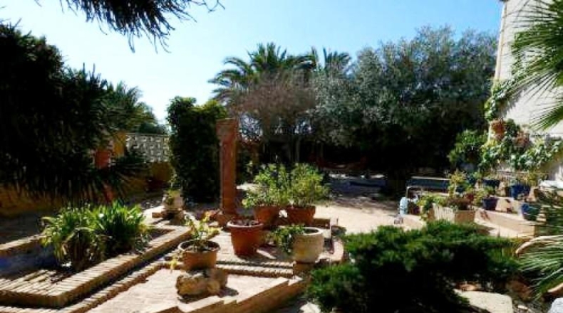 Alicante - San Vicente del Raspeig - 1200m2