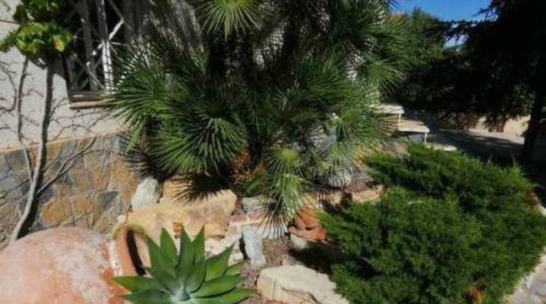 Alicante - San Vicente del Raspeig - 1200m2