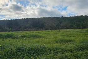 Santa Eugènia 56973&nbsp;m² 