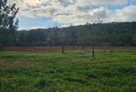 Santa Eugènia 56973&nbsp;m² 