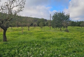 Santa Eugènia 56973&nbsp;m² 