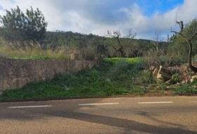 Santa Eugènia 56973&nbsp;m² 