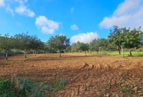 Santa Eugènia 56973&nbsp;m² 