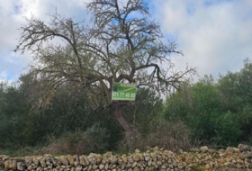 Santa Eugènia 56973&nbsp;m² 