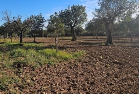 Santa Eugènia 56973&nbsp;m² 