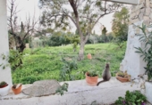 Casa de camp amb terreny en venda a la España, Altea la Vella, ref.: TR156203 foto