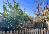 Village house for sale on España, Búger, ref: TR303426 photo