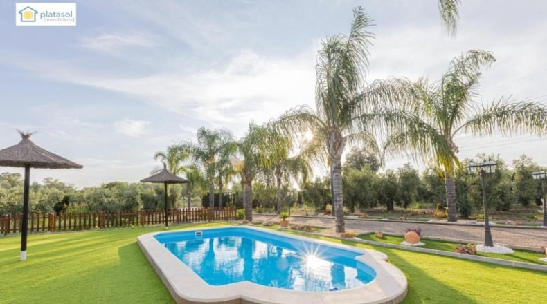 Huelva - Chucena - 26821m2