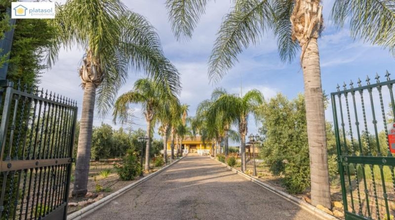 Huelva - Chucena - 26821m2