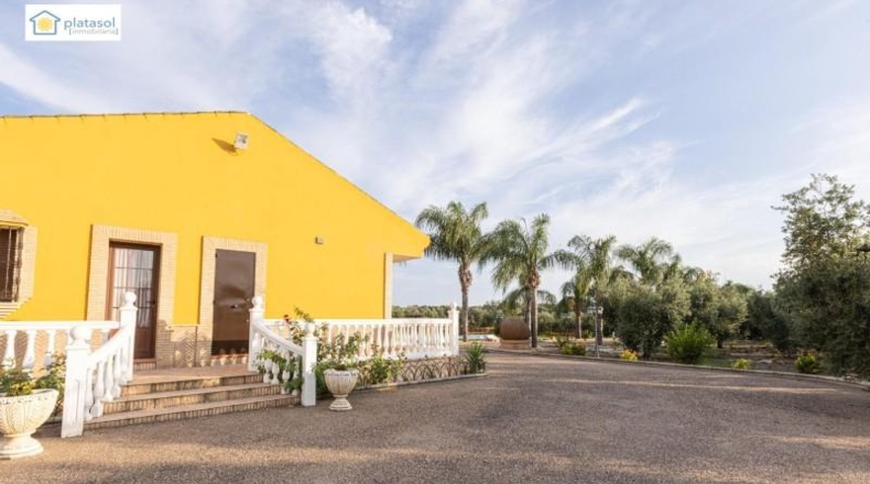 Huelva - Chucena - 26821m2