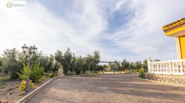 Huelva - Chucena - 26821m2