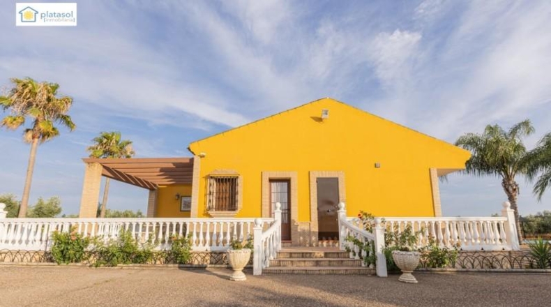 Huelva - Chucena - 26821m2