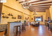 Detached villa with land for sale on España, Chucena, ref: TR154202 photo