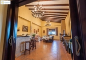 Detached villa with land for sale on España, Chucena, ref: TR154202 photo