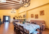 Detached villa with land for sale on España, Chucena, ref: TR154202 photo