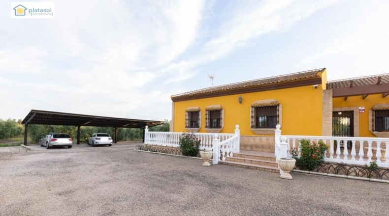 Huelva - Chucena - 26821m2