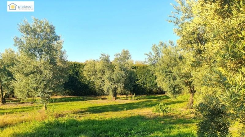 Huelva - Chucena - 26821m2