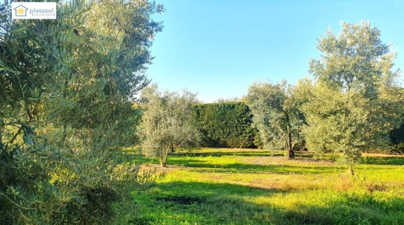 Huelva - Chucena - 26821m2