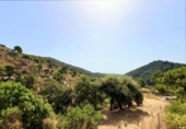 Xalet independent amb terreny en venda a la España, Estepona, ref.: TR318633 foto