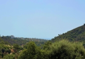 Xalet independent amb terreny en venda a la España, Estepona, ref.: TR318633 foto