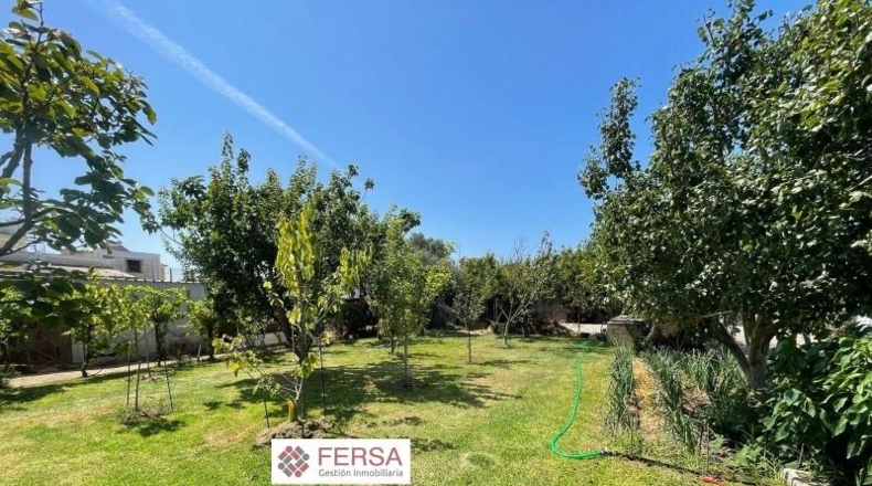 Cadiz - El Puerto de Santa María - 1000m2