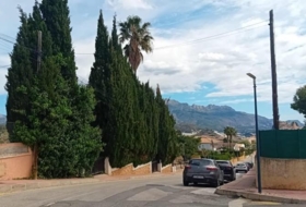 Foto 7