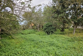 San Cristóbal de La Laguna 2535&nbsp;m² 