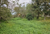 Sòl urbà en venda a la España, San Cristóbal de La Laguna, ref.: TR226039 foto