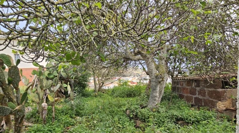 Santa Creu de Tenerife - San Cristóbal de La Laguna - 2535m2