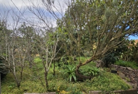 San Cristóbal de La Laguna 2535&nbsp;m² 