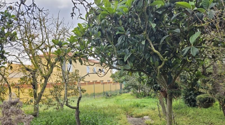 Santa Creu de Tenerife - San Cristóbal de La Laguna - 2535m2
