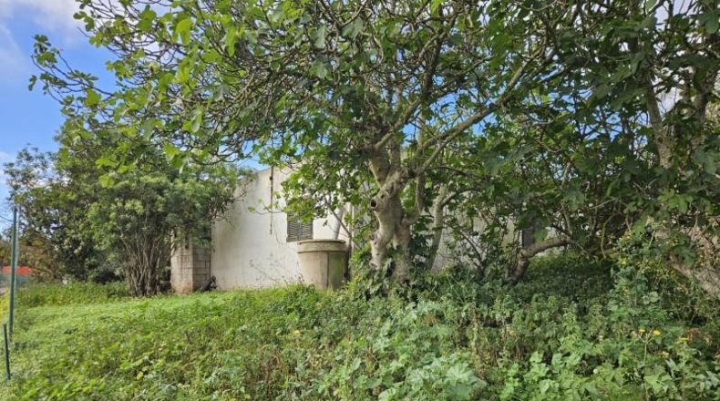 Santa Creu de Tenerife - San Cristóbal de La Laguna - 2535m2